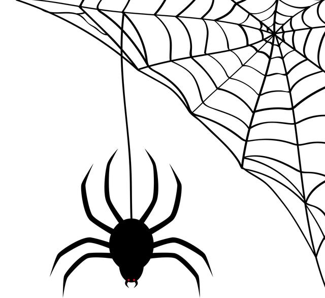 Černý pavouk: Symbol strachu nebo tkaní osudu?