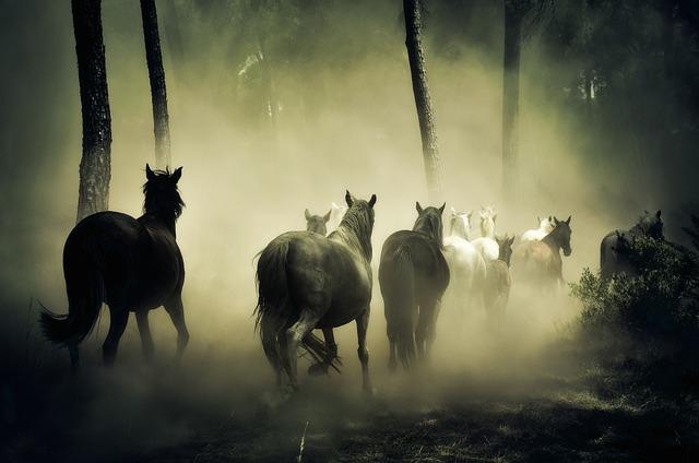 Koně viděti ve snu: Symbol svobody a síly