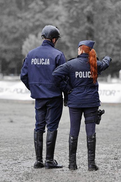 Rozbor hravosti a záludnosti v hře