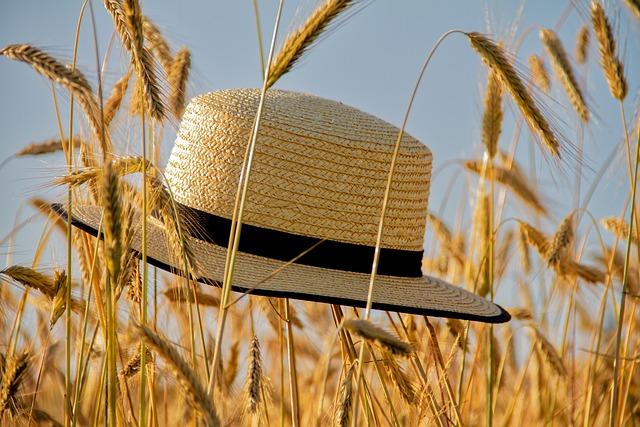 Možnosti a příležitosti spojené s letěním ve snu